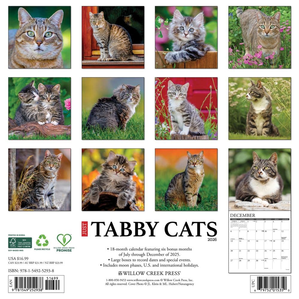Tabby Cats 2026 Wall Calendar First Alternate Image
