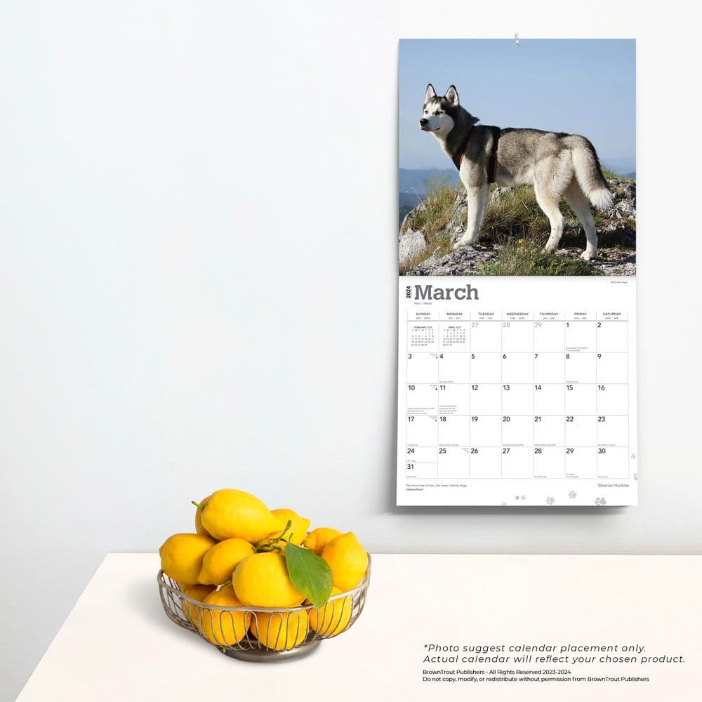 Siberian Huskies 2024 Wall Calendar