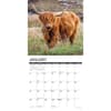 image Highland Cows 2025 Wall Calendar