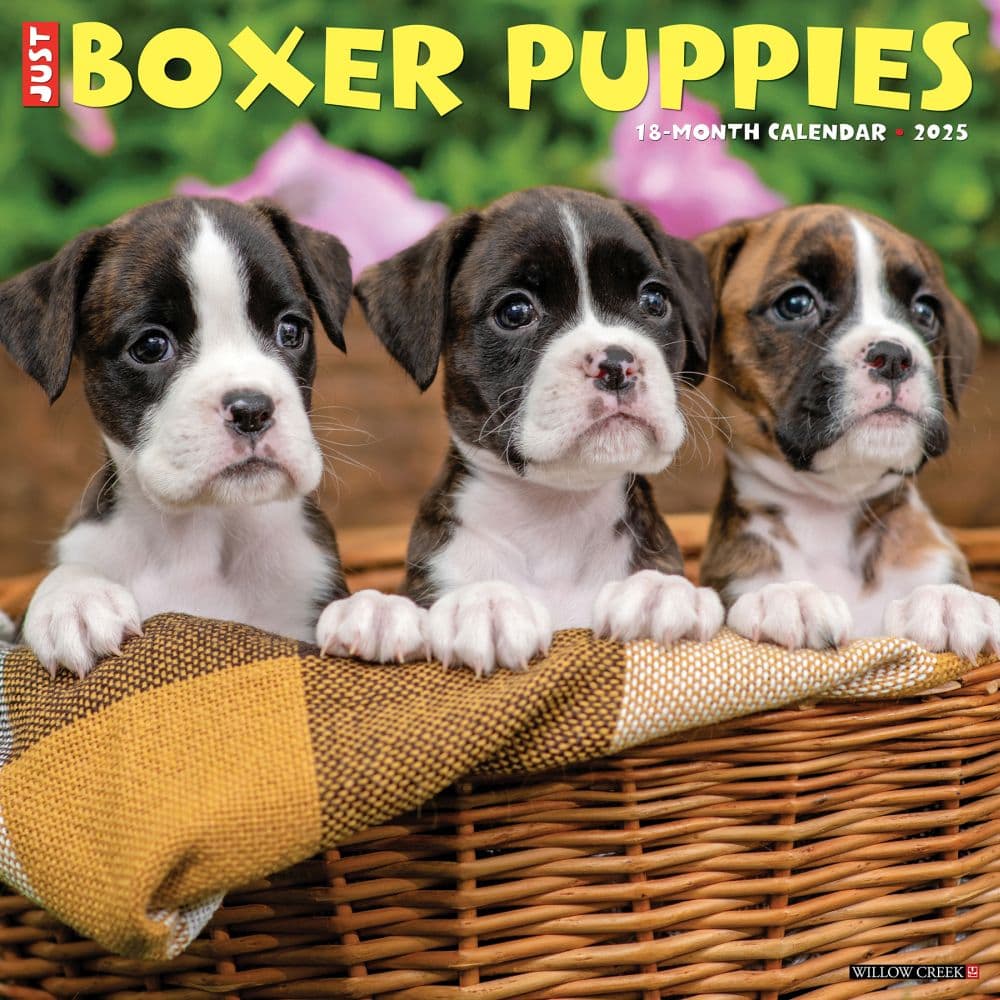 Boxer Puppy Calendar 2025