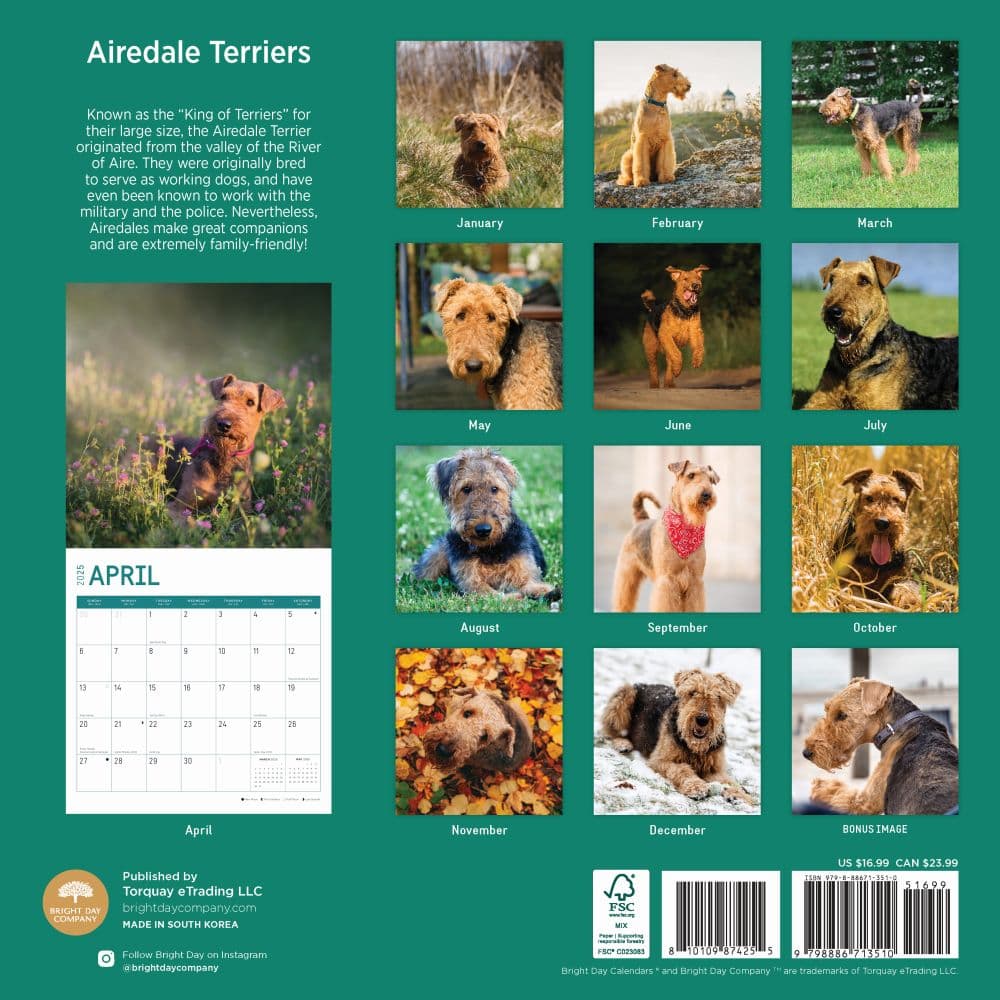 Airedale 2025 Calendar