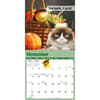 image Grumpy Cat 2025 Mini Wall Calendar Fourth Alternate Image width=&quot;1000&quot; height=&quot;1000&quot;