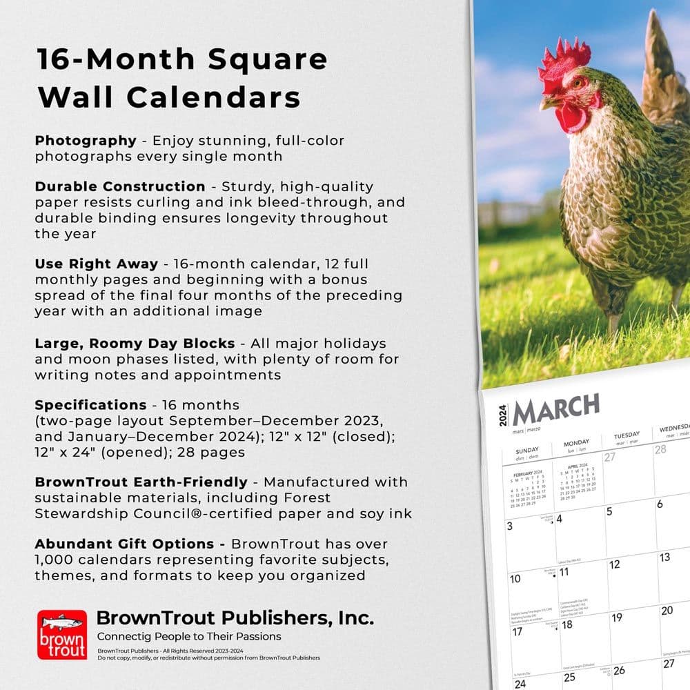 Chickens  2024 Wall Calendar Alternate Image 4