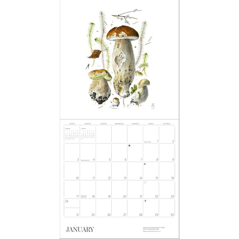 Mushrooms Viazmensky 2027 Wall Calendar Second Alternate Image