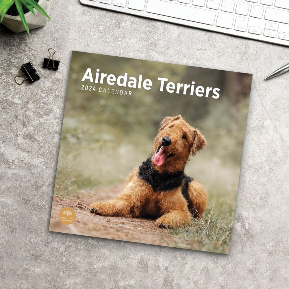 Airedale Terriers 2024 Wall Calendar Fifth Alternate Image width=&quot;1000&quot; height=&quot;1000&quot;