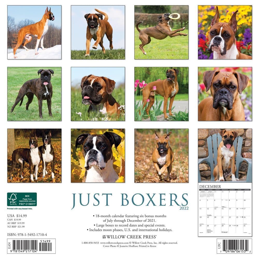 Just Boxers 2022 Wall Calendar - Calendars.com