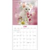 image What the Fck Kitty 2025 Wall Calendar Second Alternate Image width=&quot;1000&quot; height=&quot;1000&quot;