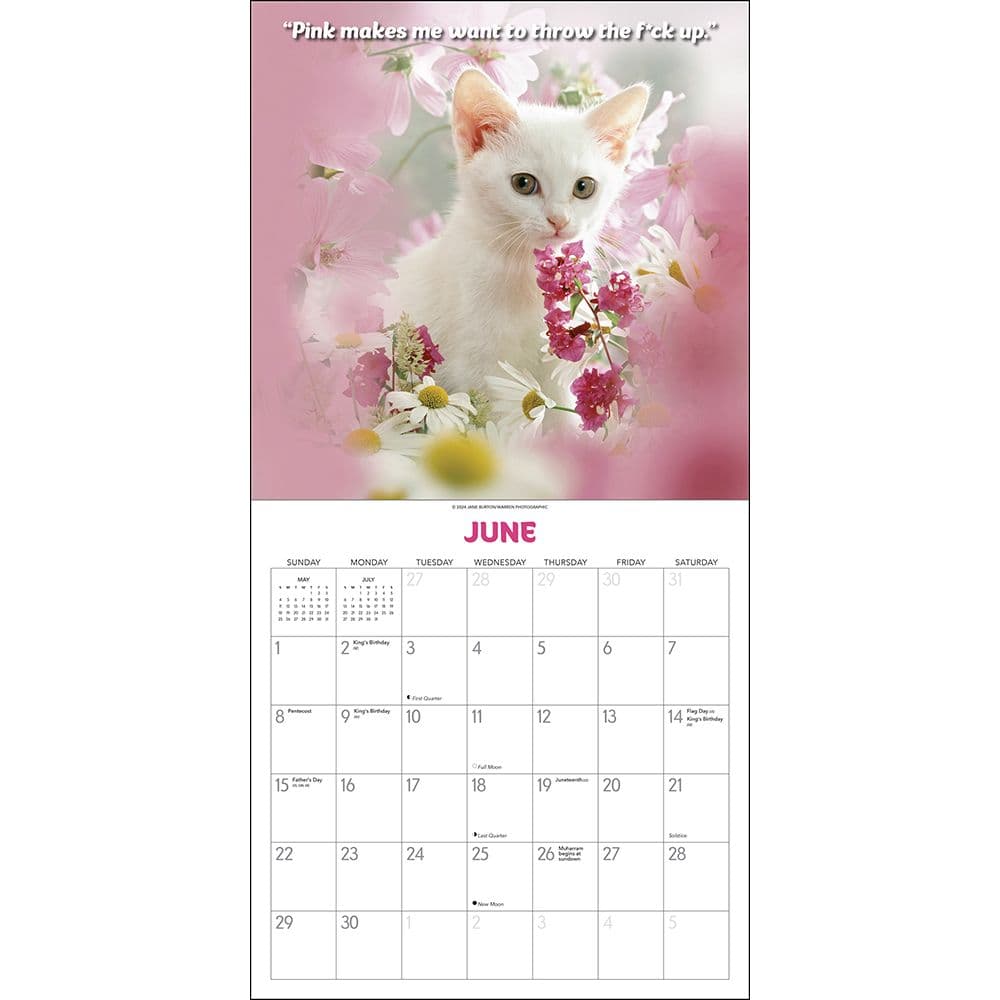 What the Fck Kitty 2025 Wall Calendar Second Alternate Image width=&quot;1000&quot; height=&quot;1000&quot;