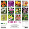 image Orchids 2026 Wall Calendar