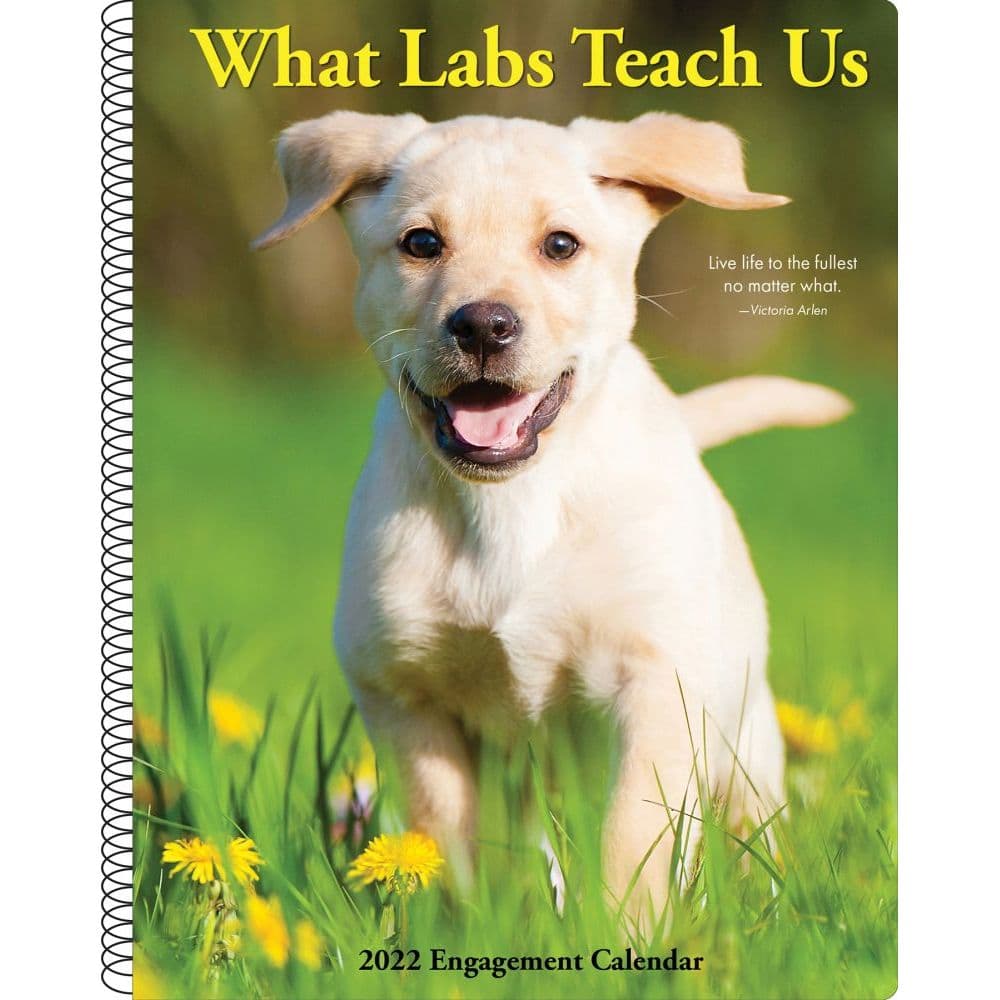 What Labs Teach Us 2022 Engagement Calendar