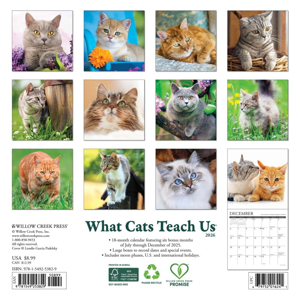Cats What Cats Teach Us 2026 Mini Wall Calendar First Alternate Image