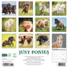 image Ponies 2025 Wall Calendar