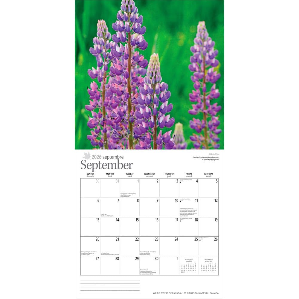Wildflowers 2026 Wall Calendar Third Alternate Image