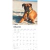 image Boxers International 2025 Wall Calendar