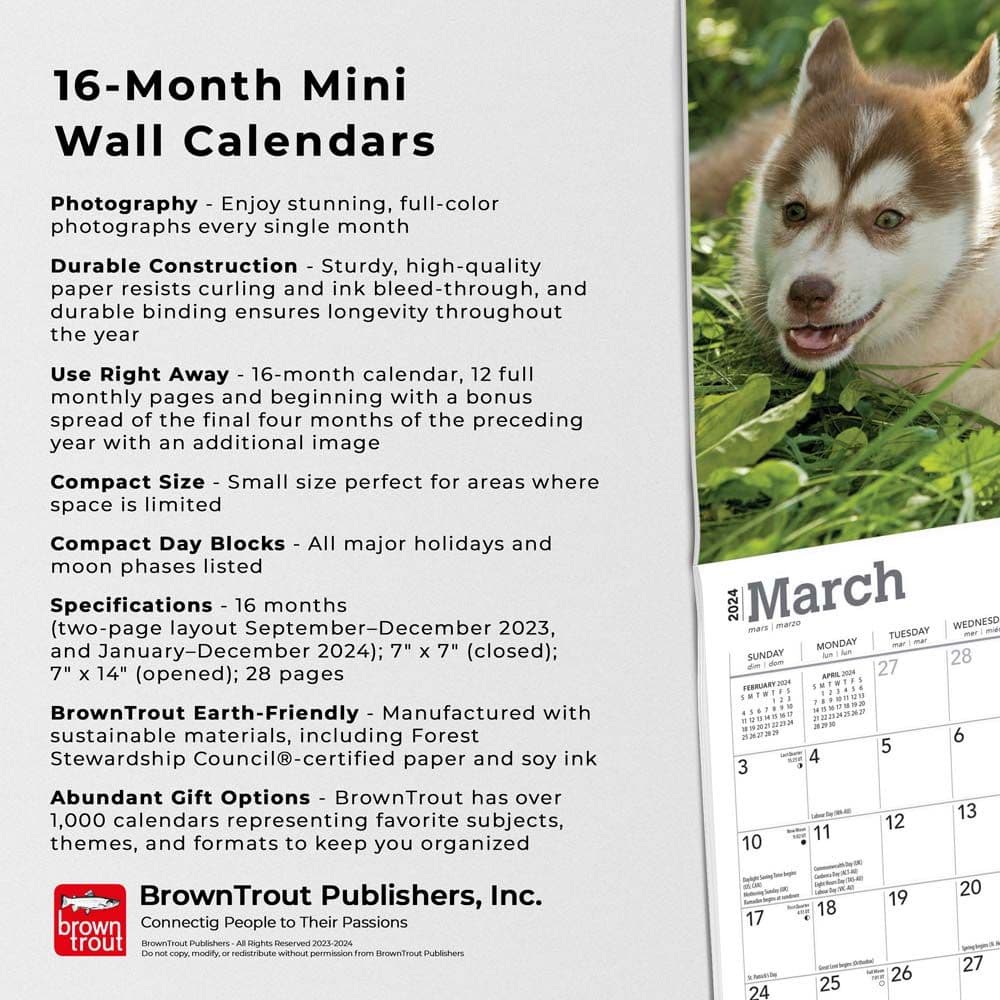 Siberian Husky Puppies 2024 Mini Wall Calendar Fourth Alternate Image width=&quot;1000&quot; height=&quot;1000&quot;