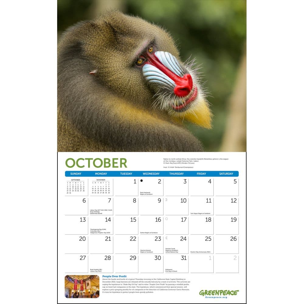 Greenpeace 2024 Wall Calendar