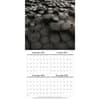 image Natures Wonders 2026 Mini Wall Calendar_ALT1