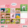 image Miniature Pigs 2026 Wall Calendar First Alternate Image