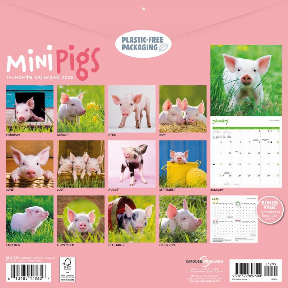 Miniature Pigs 2026 Wall Calendar First Alternate Image