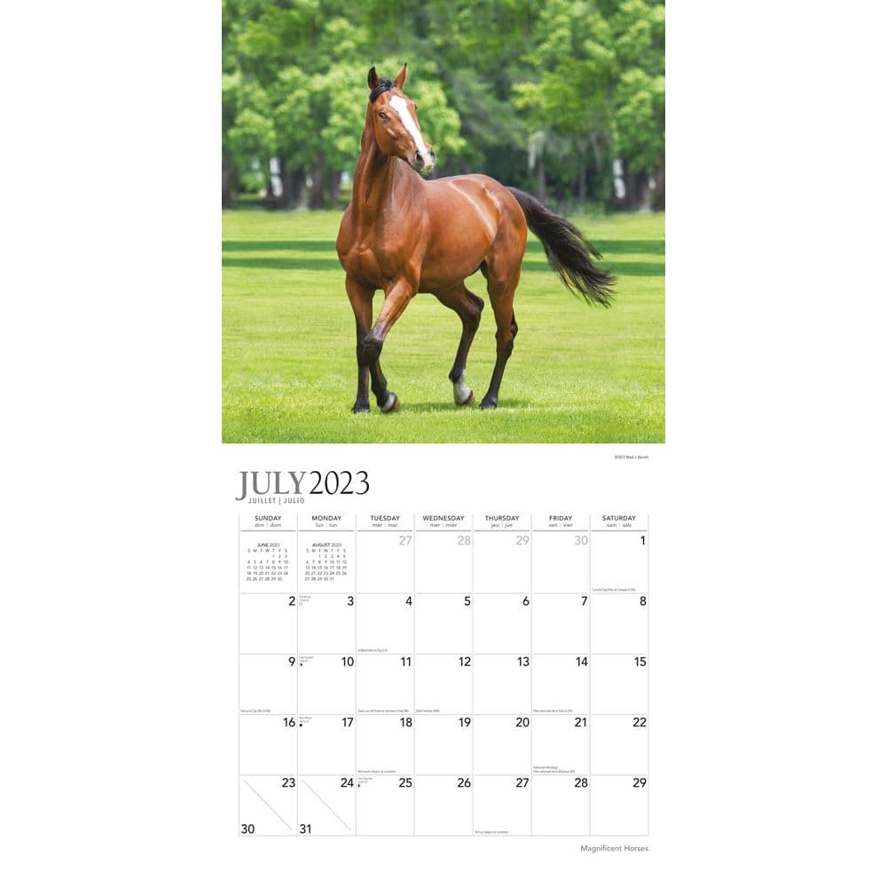 Magnificent Horses 18 Month 2024 Wall Calendar Alternate Image 2