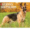 image German Shepherds Just 2025 Desk Calendar Main Product Image width=&quot;1000&quot; height=&quot;1000&quot;