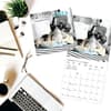 image Classic Cats 2026 Mini Wall Calendar Fourth Alternate Image