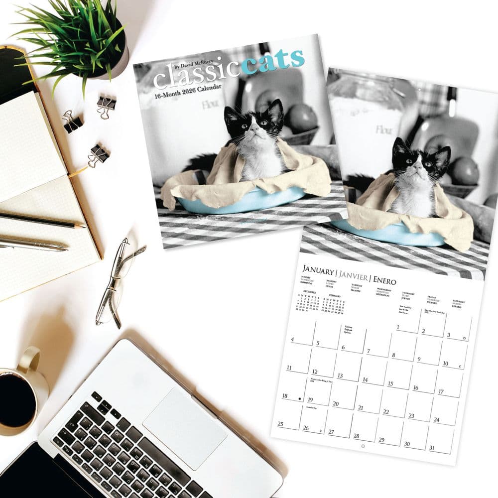 Classic Cats 2026 Mini Wall Calendar Fourth Alternate Image