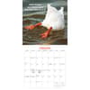image Extremely Fowl 2026 Wall Calendar Second Alternate Image