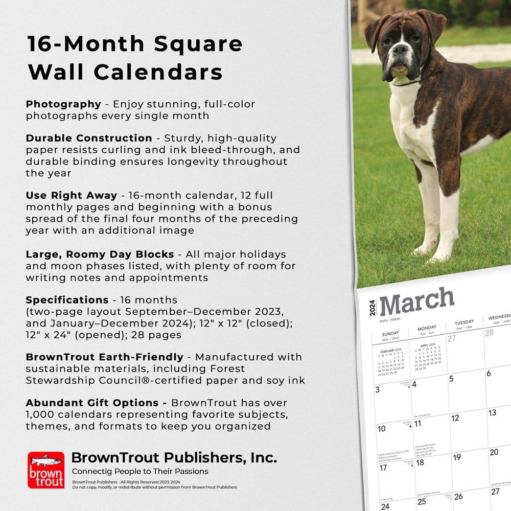 Boxers International Wall 2024 Desk Calendar Fourth Alternate Image width=&quot;1000&quot; height=&quot;1000&quot;