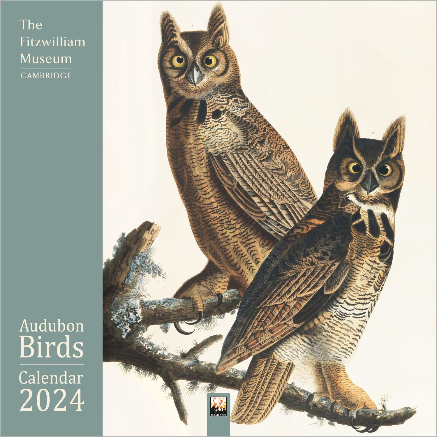 Fitzwilliam Audubon Birds 2024 Wall Calendar Calendars Com   C96684cf 18d4 4155 8506 B6c4271abd2f