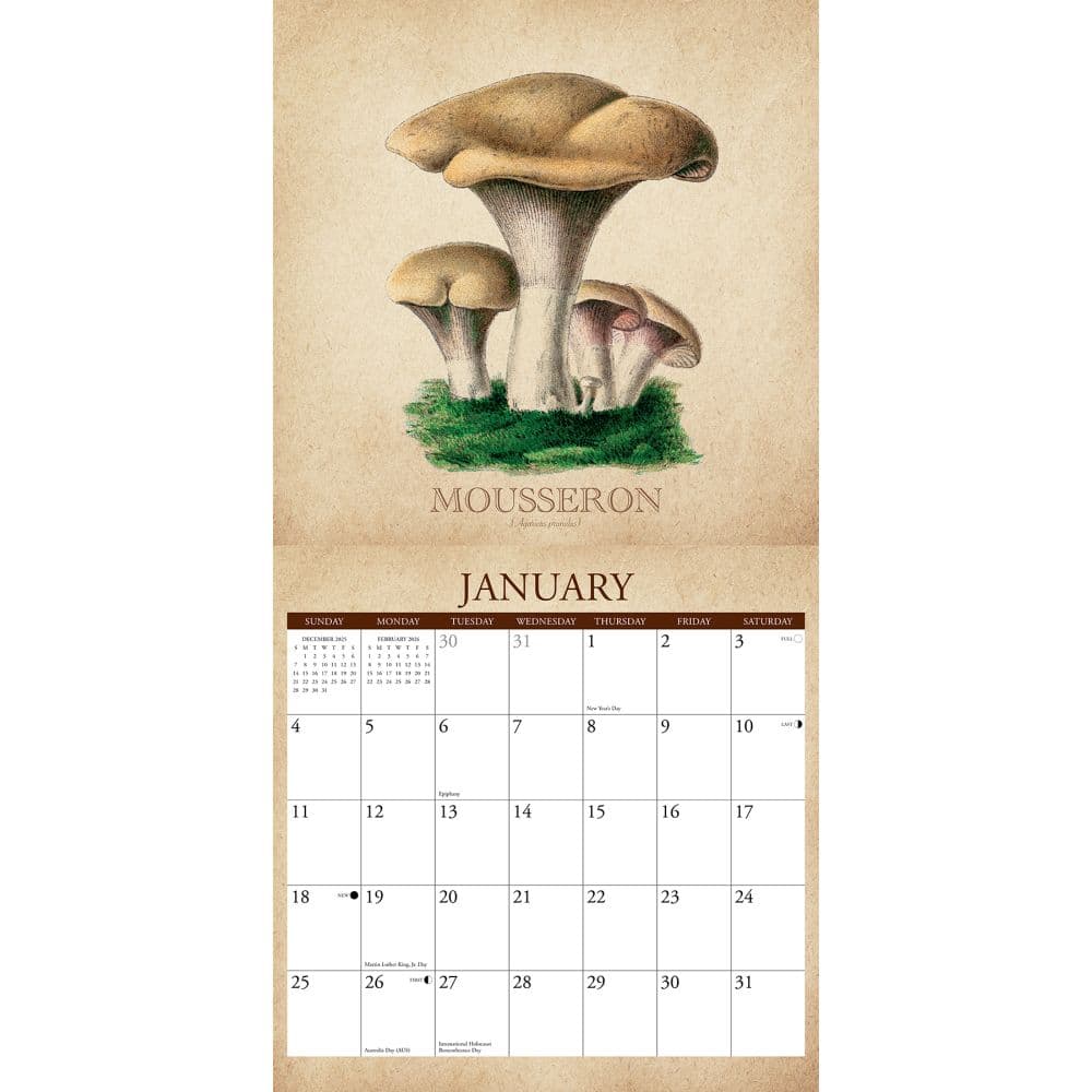 Art of the Mushroom 2026 Wall Calendar Second Alternate Image