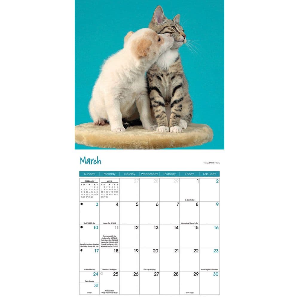 Kittens & Puppies Mini Wall Calendar