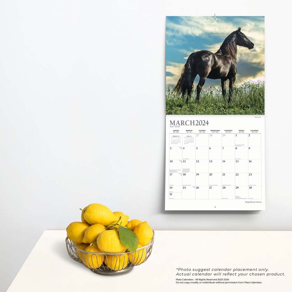 Magnificent Horses 2024 Wall Calendar Alternate Image 3