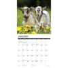 image Goats 2025 Wall Calendar Second Alternate Image width="1000" height="1000"