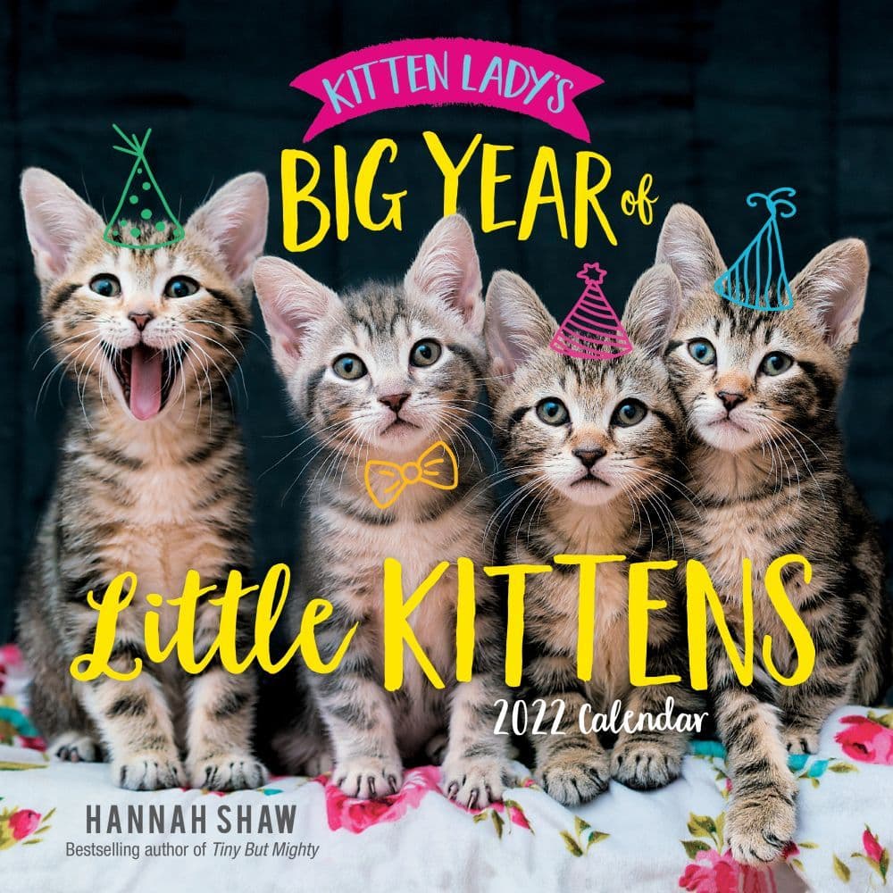 Kitten Ladys Big Year of Little Kittens 2022 Wall Calendar