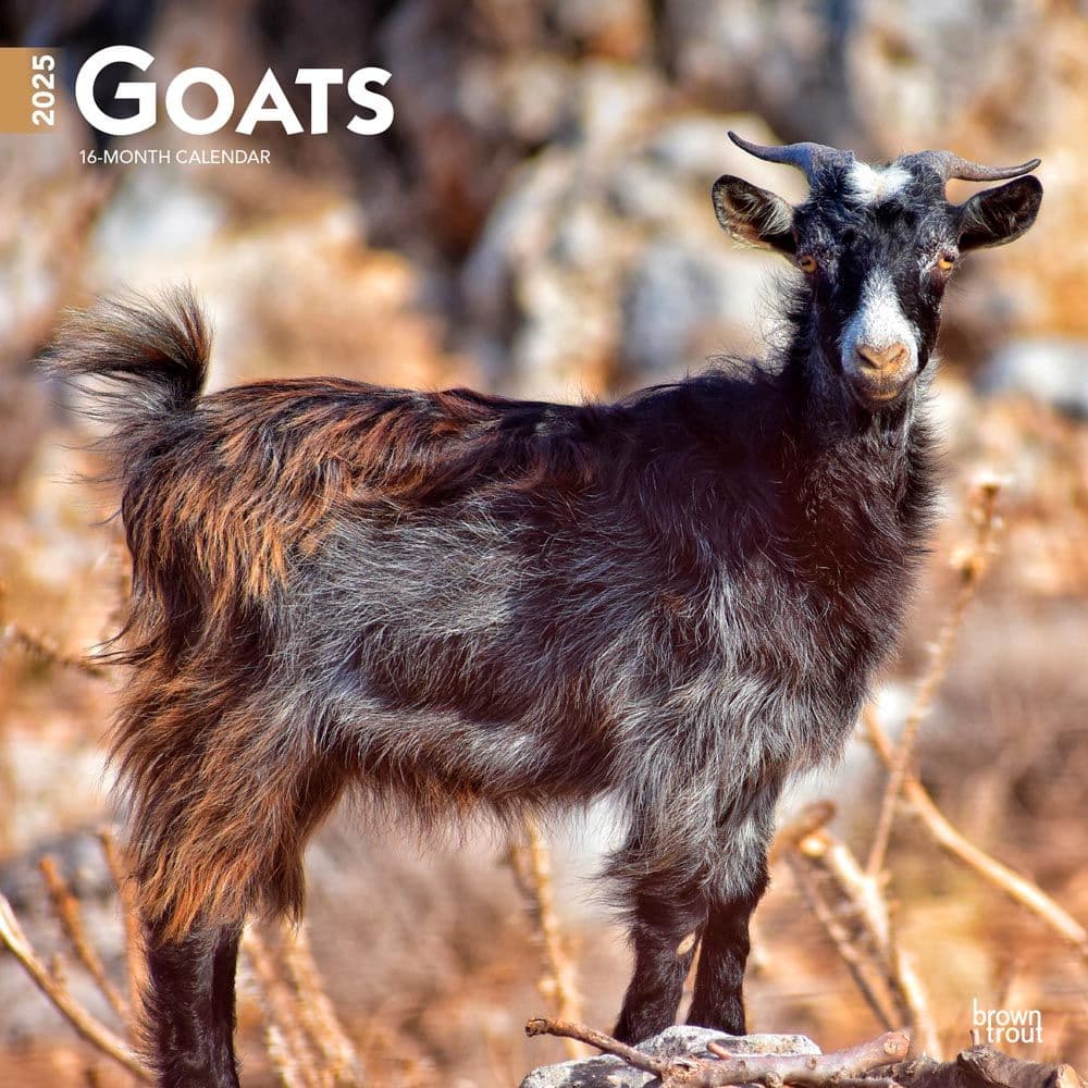 Goats 2025 Wall Calendar