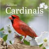 image Audubon Cardinals 2025 Mini Wall Calendar Main Image