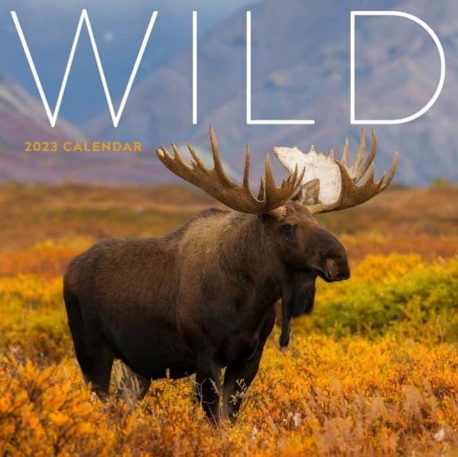 Wild 2023 Wall Calendar - Calendars.com