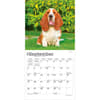image Basset Hound 2027 Mini Wall Calendar Third Alternate Image