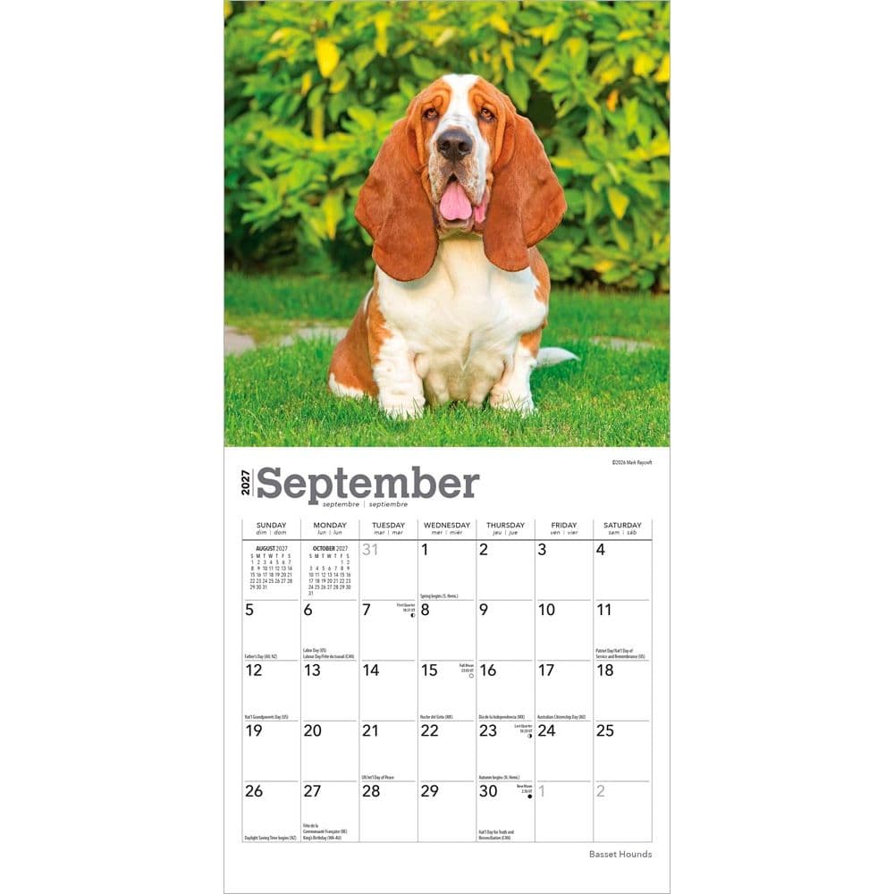 Basset Hound 2027 Mini Wall Calendar Third Alternate Image