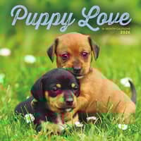 image Puppy Love 2026 Wall Calendar Main Image
