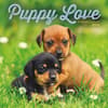 image Puppy Love 2026 Wall Calendar Main Image