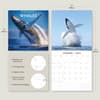 image Whales 2025 Wall Calendar Alt4