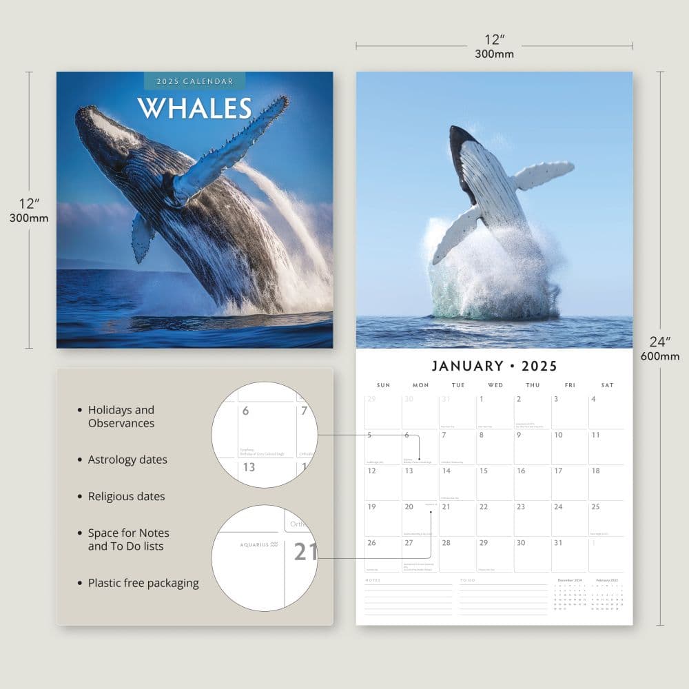 Whales 2025 Wall Calendar Alt4