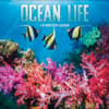 image Ocean Life 2024 Wall Calendar Main Image