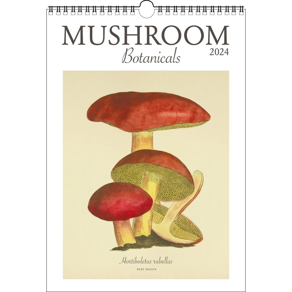 Mushroom Poster 2024 Wall Calendar