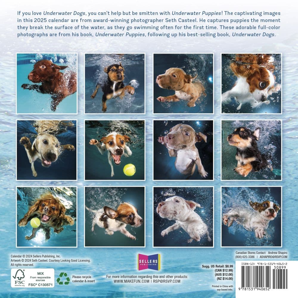 Underwater Puppies By Seth Casteel 2025 Mini Wall Calendar First Alternate Image width=&quot;1000&quot; height=&quot;1000&quot;