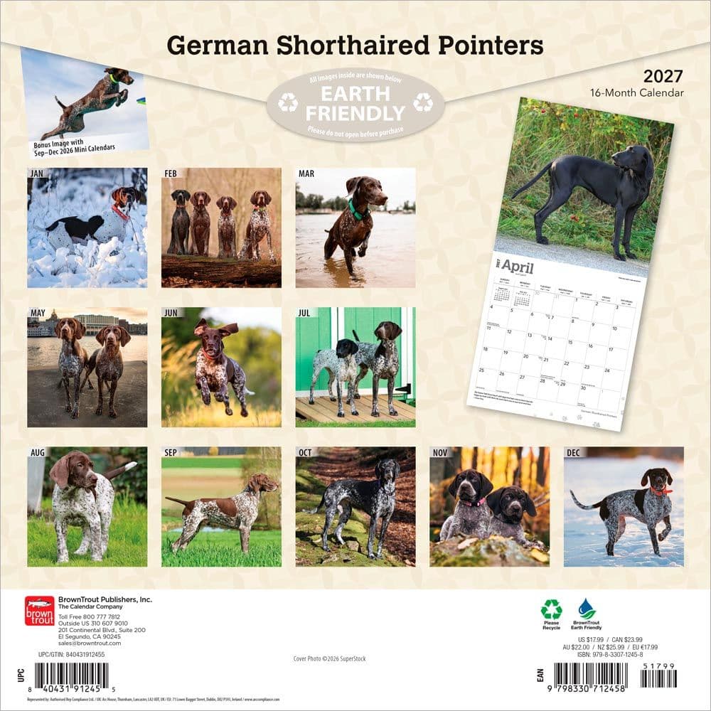 German Shorthaired Pointers 2027 Wall Calendar First Alternate Image