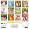 image Just Corgi Puppies 2025 Wall Calendar First Alternate Image width=&quot;1000&quot; height=&quot;1000&quot;