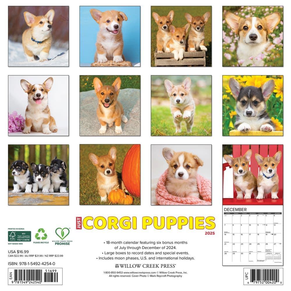 Just Corgi Puppies 2025 Wall Calendar - Calendars.com